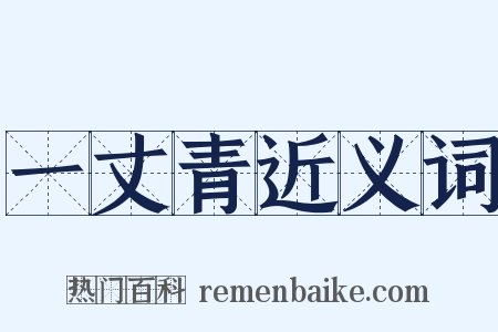 一丈青近义词是什么意思的图片